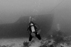 Diver approaching the bow of a wreck in Aruba. Nikonos V,... by Matthew Shanley 
